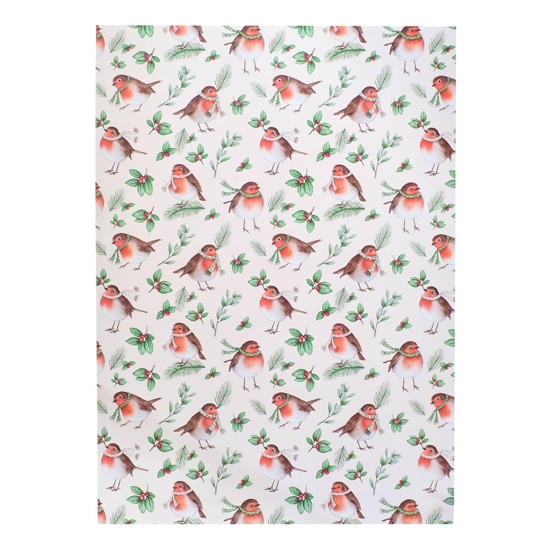 Lottie Murphy - Vendita all'ingrosso Carta da regalo in fogli - Carta da regalo natalizia Robins & Foliage1