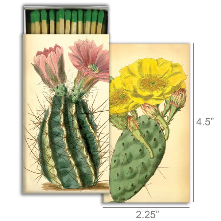 HomArt - Wholesale Matches - Matches - Flowering Cacti1