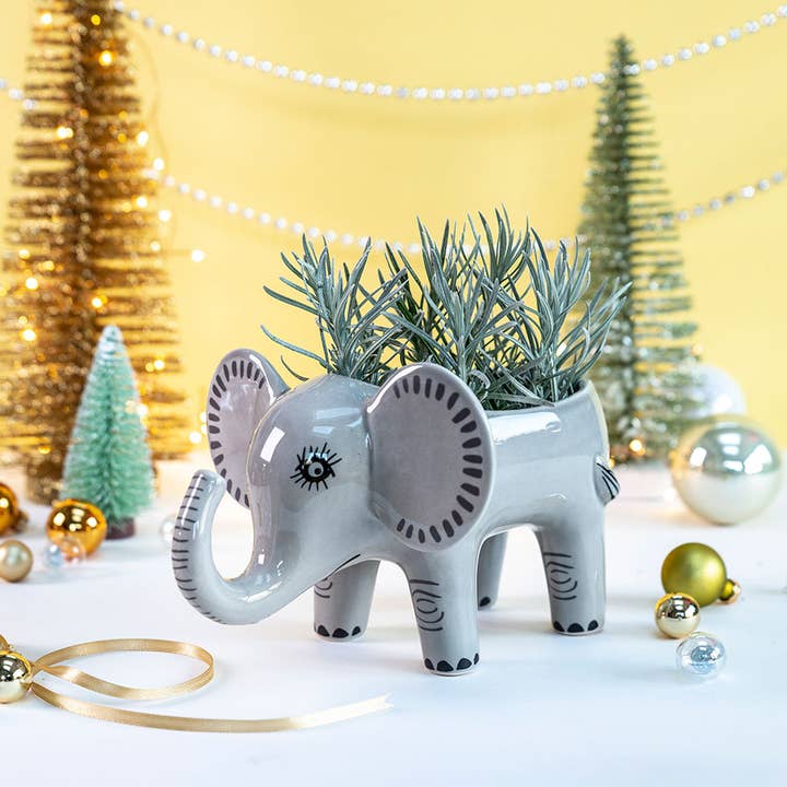 Elephant Planter for wholesale by Hannah Turner Ltd