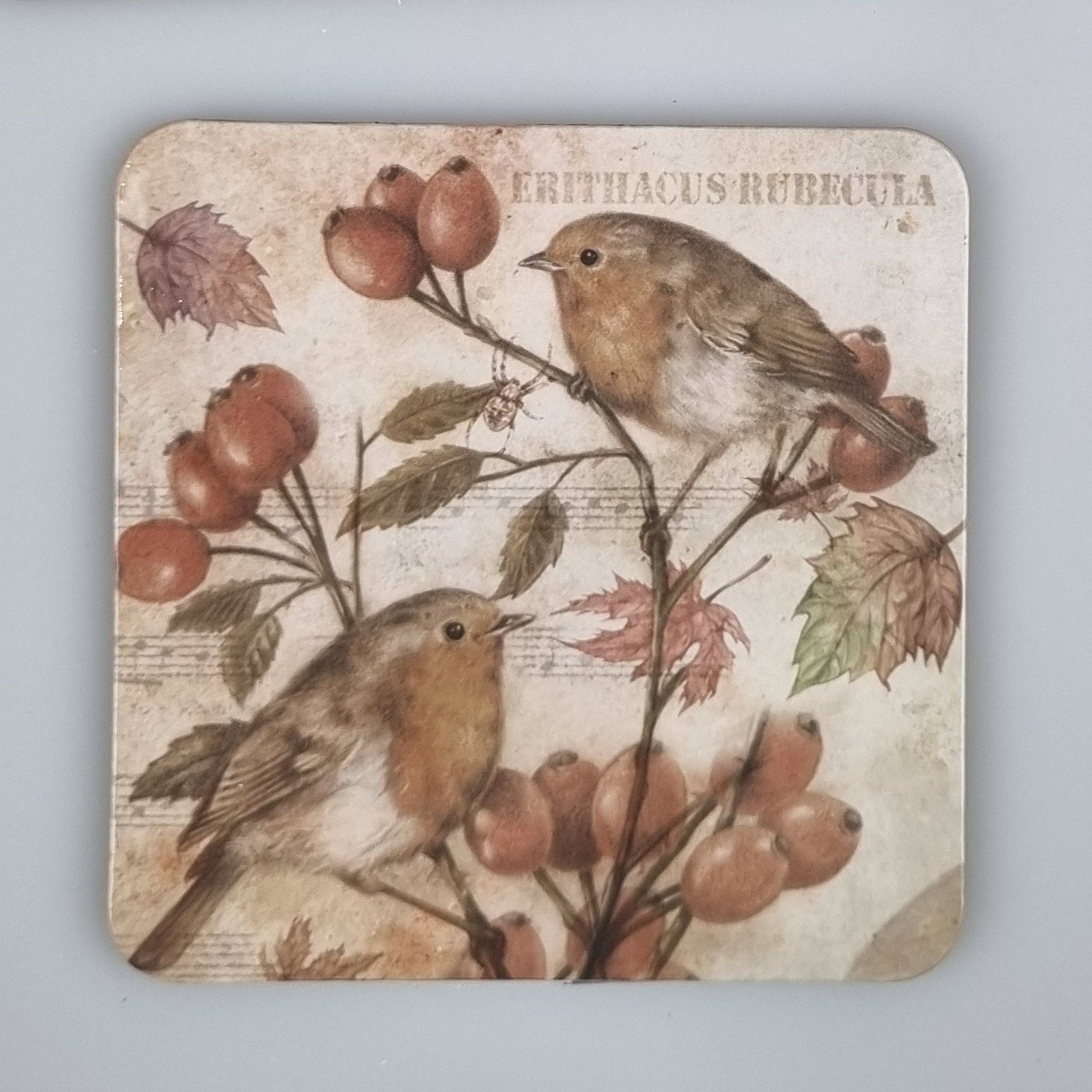 Animal Prints - Wholesale Coasters - Coaster 38-019 - Bird Series 3