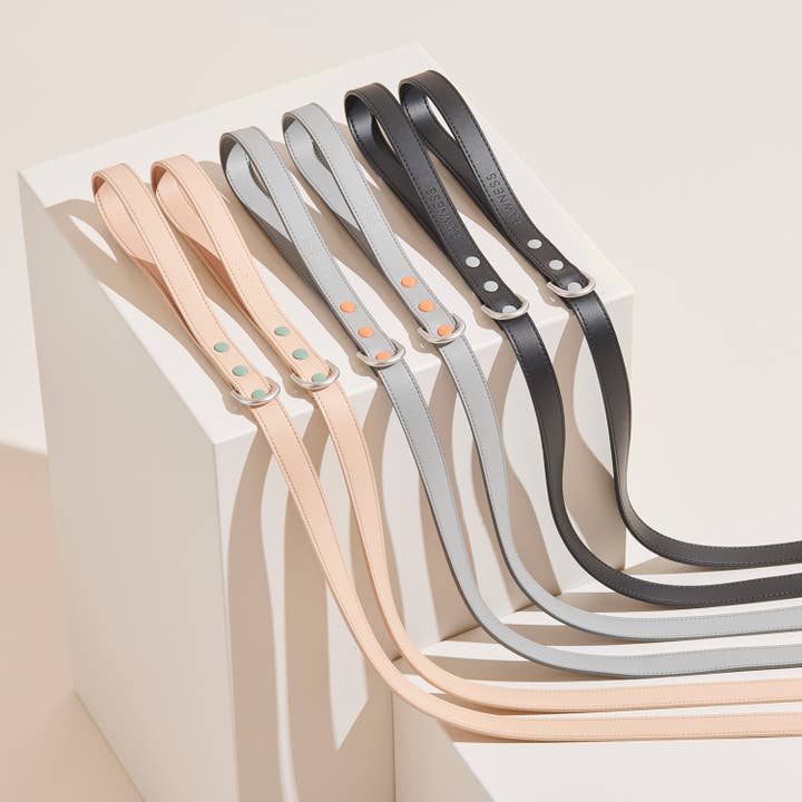 Dog Leash - Vegan, sustainable & durable for wholesale by Pawness