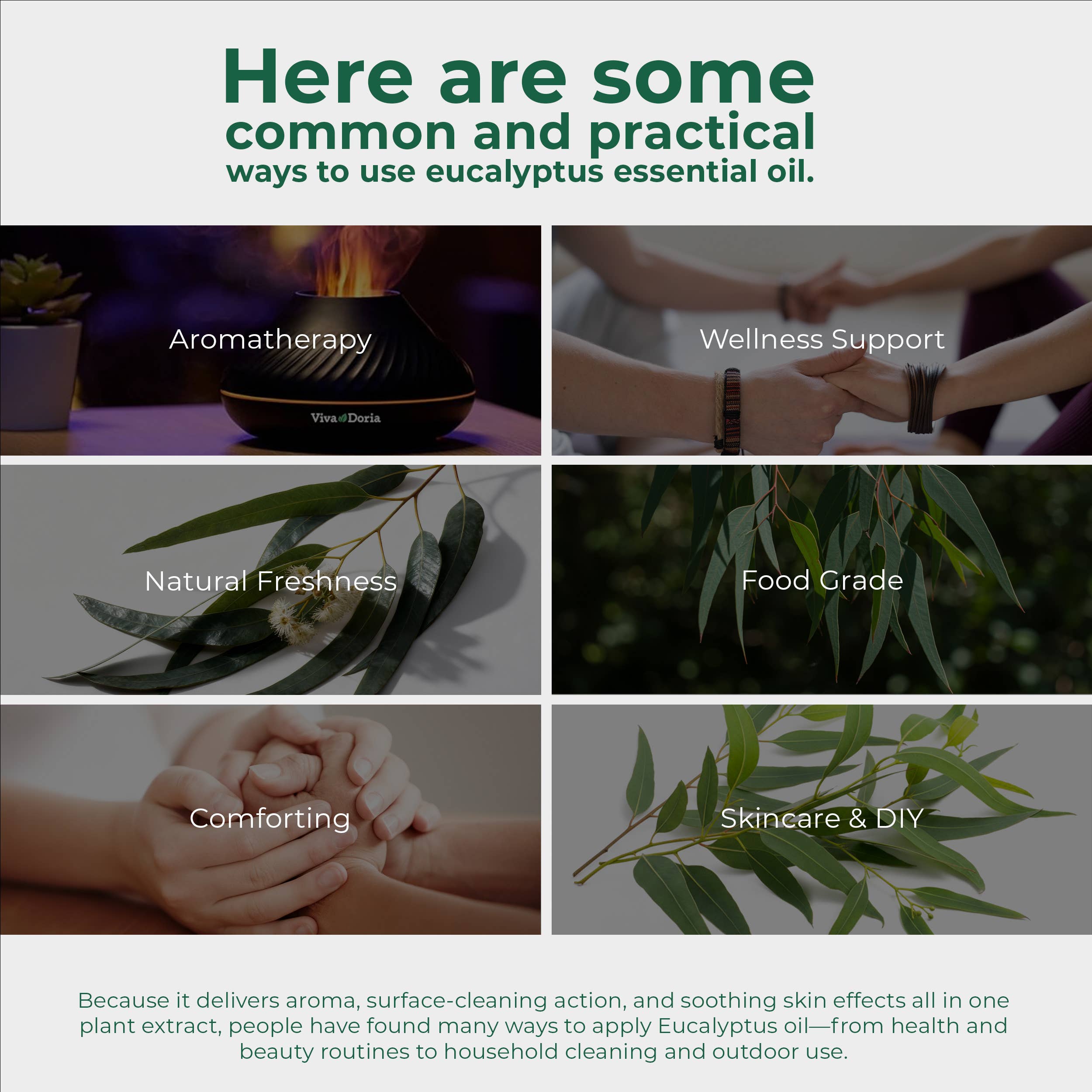 VIVA DORIA INC. - Wholesale Essential Oil - Eucalyptus Essential Oil, Food Grade, 30 mL (1 Fluid Ounce) 1