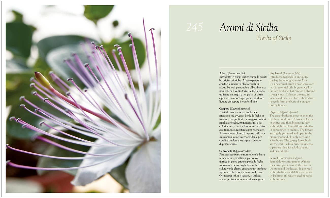 Sunset & Venice - Vente Cuisine et gastronomie - Sicilia in Cucina : Les saveurs de la Sicile5