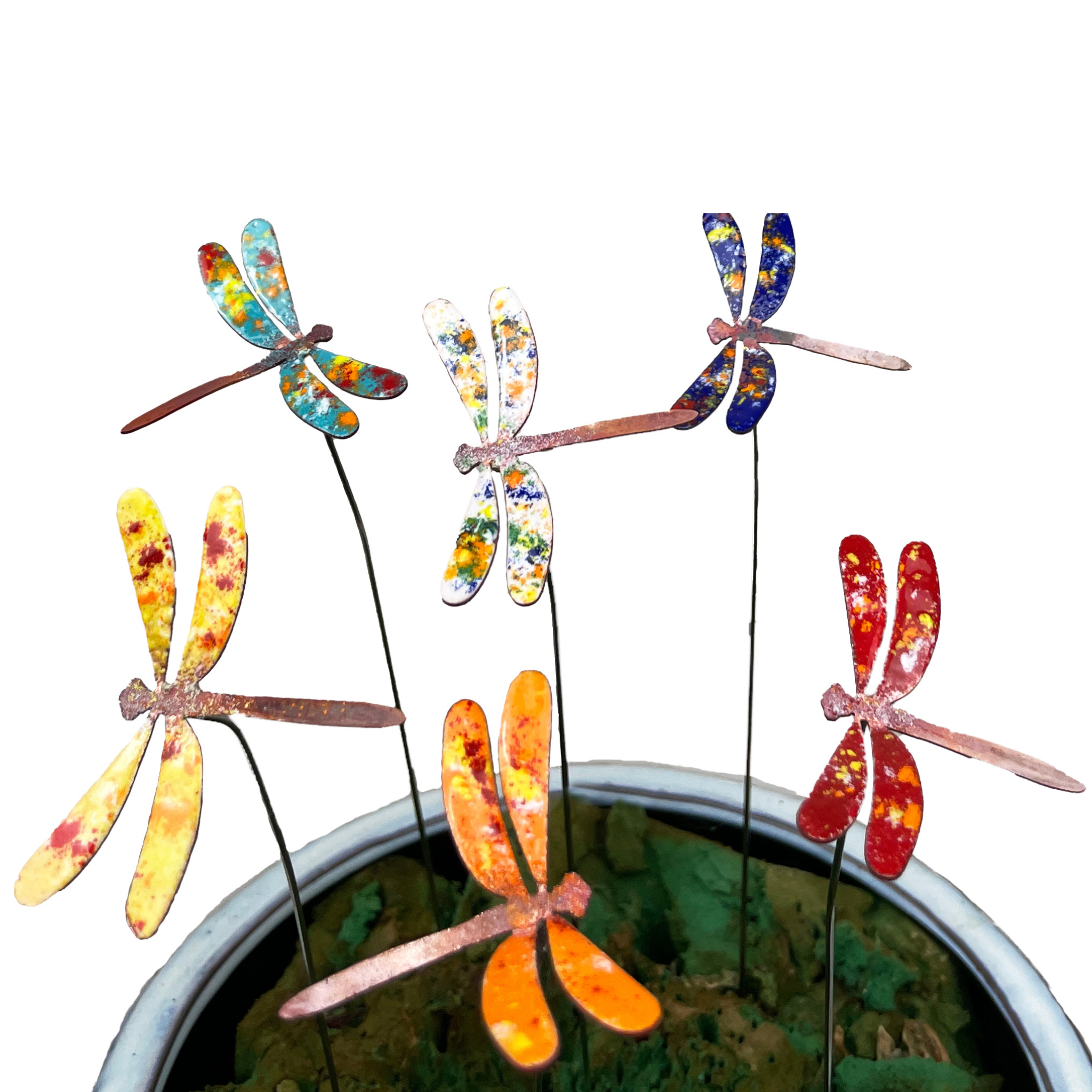 Clever Goods by Annabelle Noel Designs - Wholesale Garden/Lawn Stake - Small Copper Enamel Dragonflies - Display Set with Bucket3
