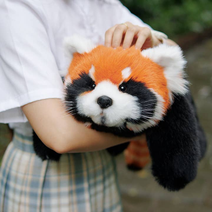 Chongker - Wholesale Stuffed/Plush Toy - Kids & Baby - Red Panda Weighted Plush – Snuggle Toy for Stress Relief10
