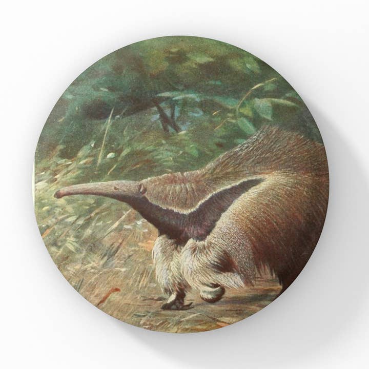 Botão de Alfinete Tamanduá, Porta-chaves Tamanduá, Íman Tamanduá por atacado de NatureCuts