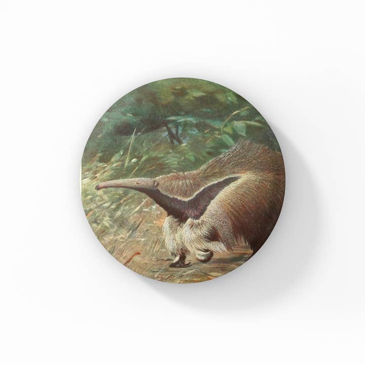 Anteater Pin Button, Anteater Keychain, Anteater Magnet and other Purchase Wholesale anteater. Free Returns & Net 60 Terms on Faire trending on Faire.