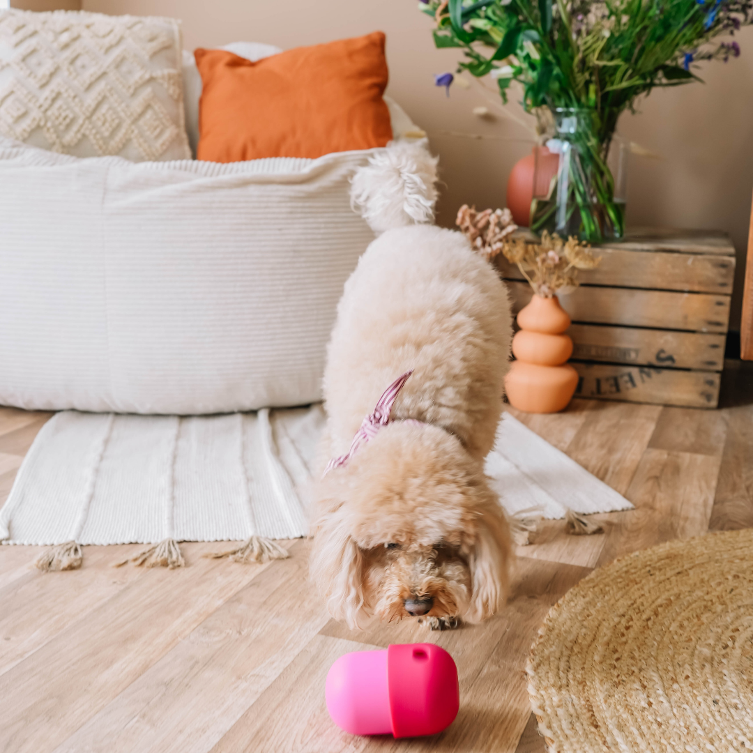 Babelle For Dogs - Wholesale Speeltje - Hond - De Fun Feeder - Snackdispenser - Lik speeltje8