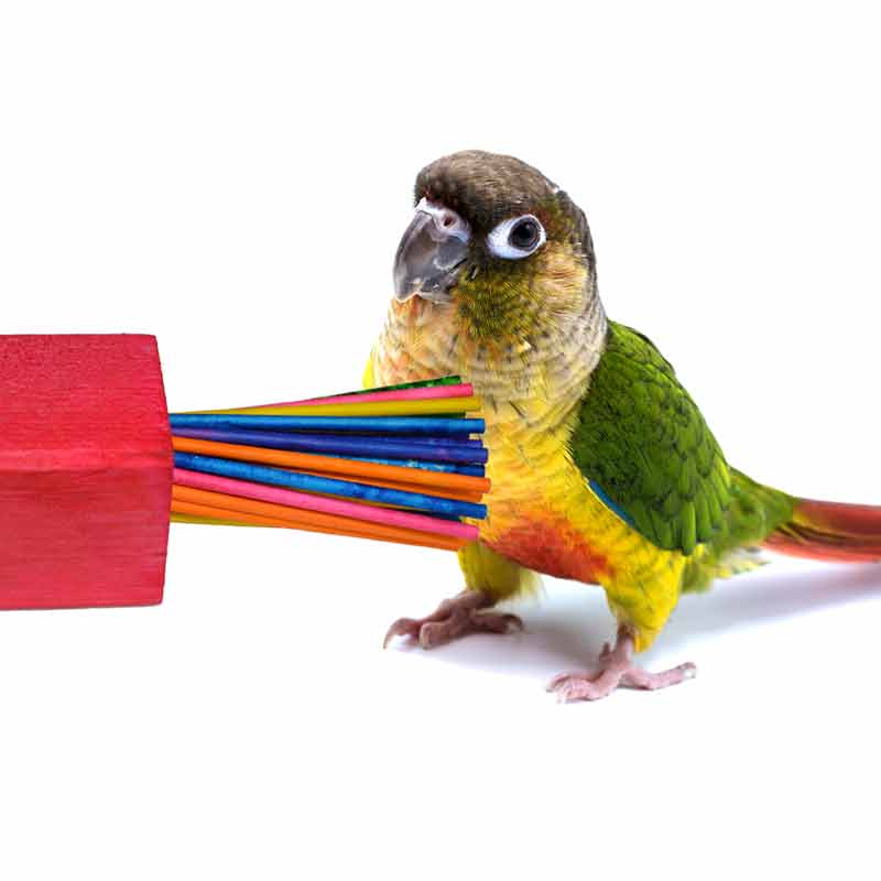 Super Bird Creations, LLC - Wholesale Bird Swing/Toy - Mini Paper Party0