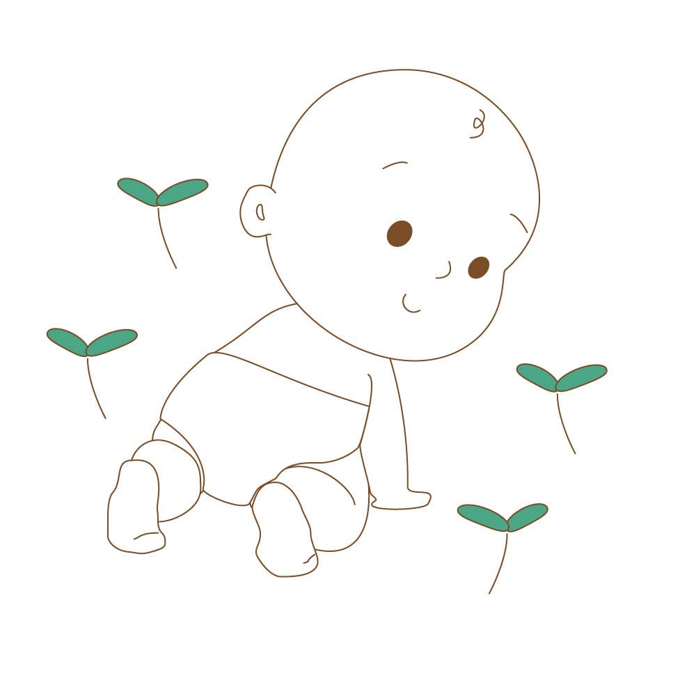 Beaming Baby - Vente Couches en tissu – bébé - Couches Maxi Plus en Bambou Bio - 9-15 kg, 24 pièces (taille 4)6