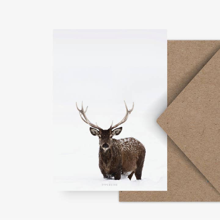 Postcard/Deer No. 2 for wholesale by typealive