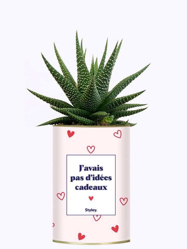 Presente de Dia dos Namorados - Cacto por atacado de Styley
