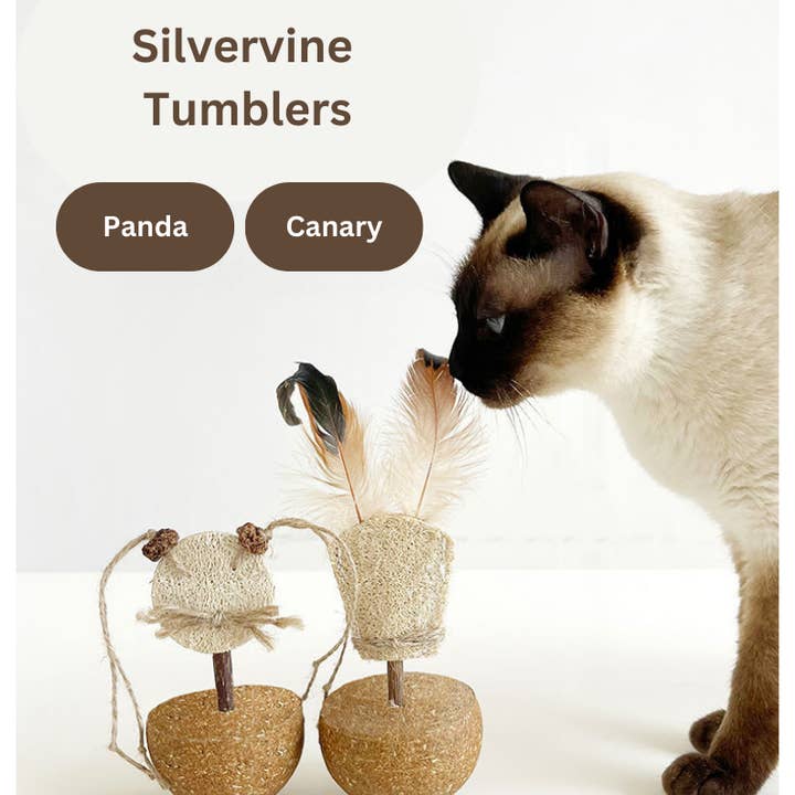 CATWANT – Engroshandel Legetøj - Kat – Silvervine Tumbler - Kanarie/ Panda0