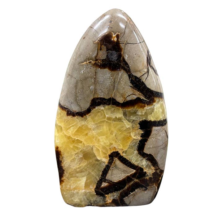 Septarian Gemstone Freeform - RPS455 for wholesale by Gem Avenue Wholesale