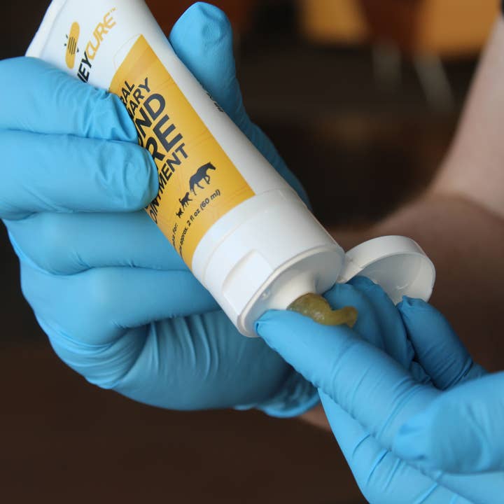 HoneyCure - Wholesale Pet Paw Protection - HoneyCure Ointment - Tube