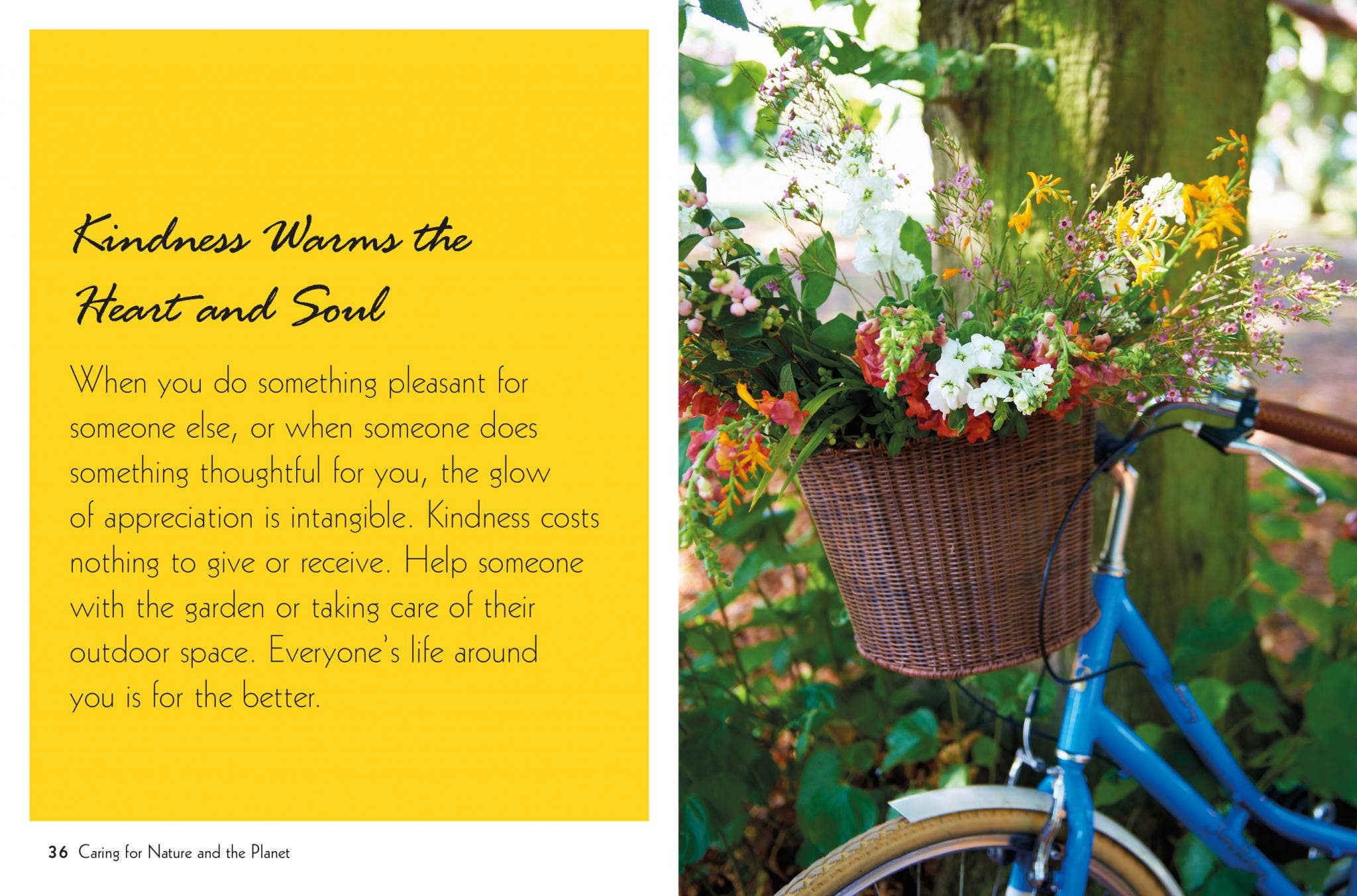 Ryland, Peters & Small – wholesale Home and garden – Mindful Gardening3