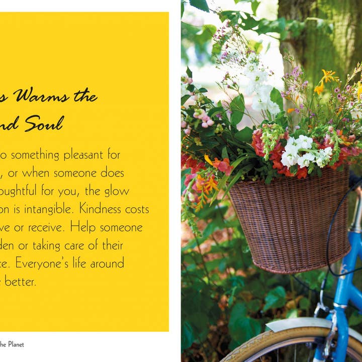 Ryland, Peters & Small – wholesale Home and garden – Mindful Gardening3