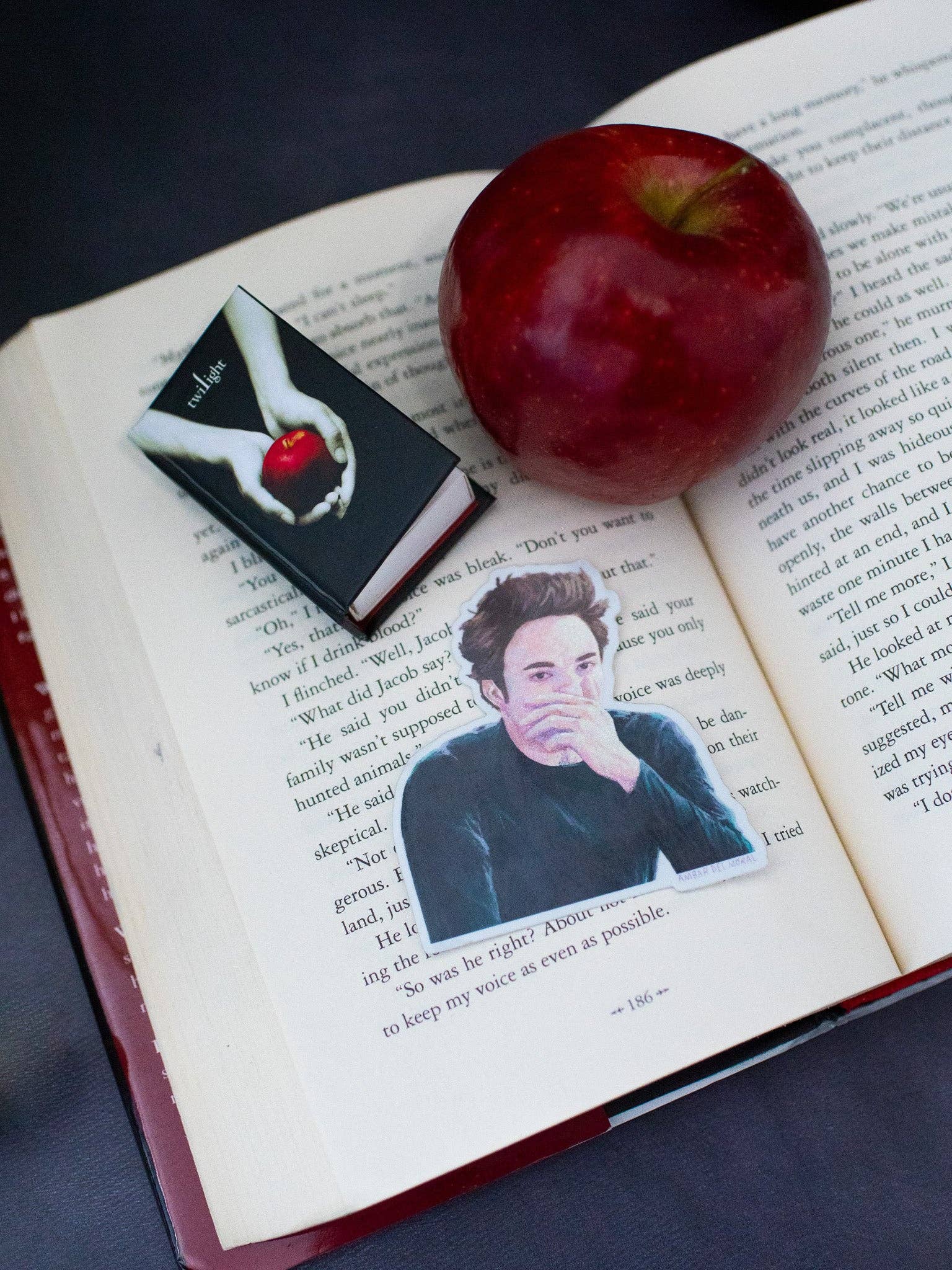 A Shop of Things - Vente Allumettes - Carnet d'allumettes Twilight9