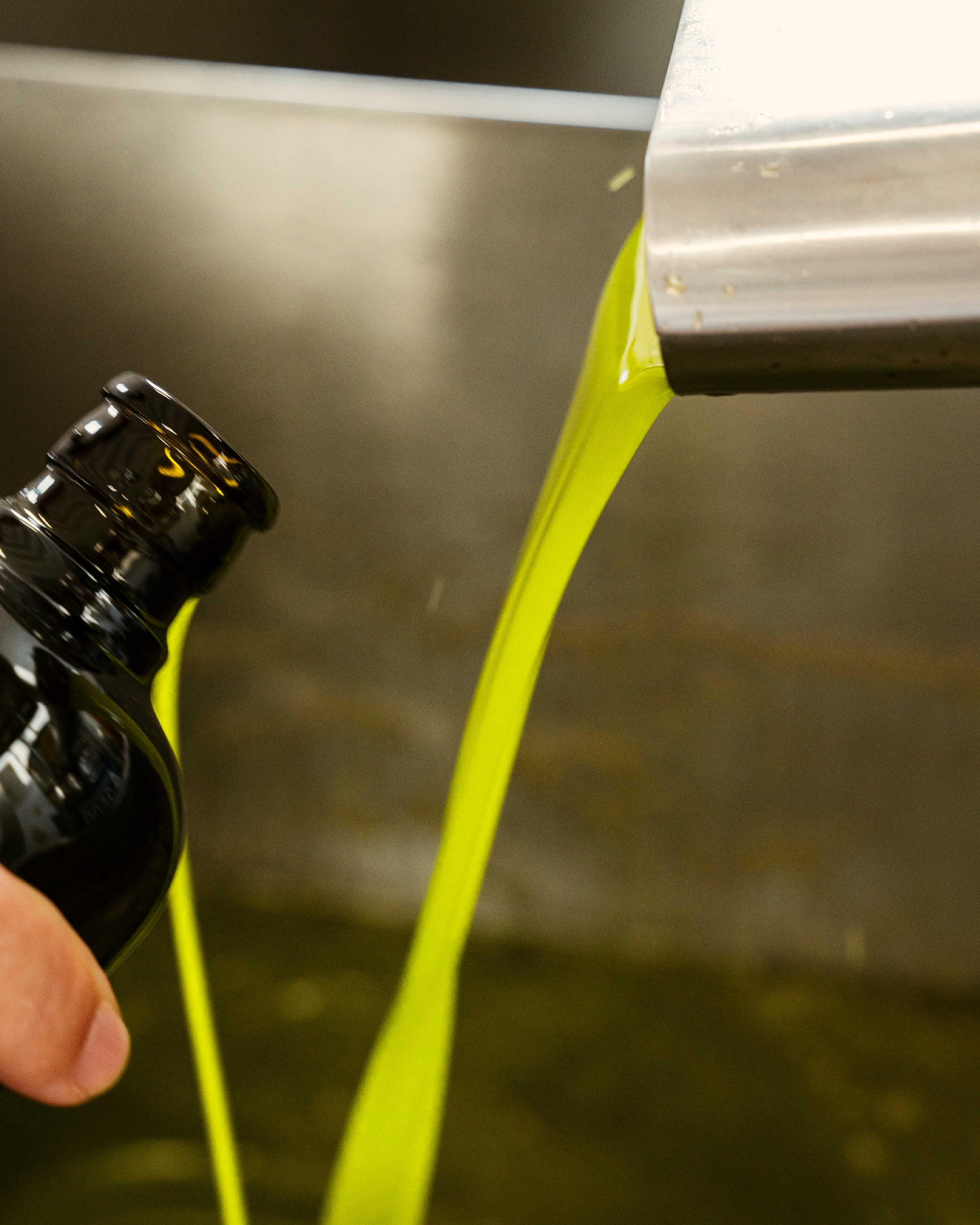 OLIO DI SERRA - Wholesale Olive Oil - OLIO DI SERRA - Extra virgin olive oil - Vintage 2024 - BAG-IN-BOX (3L)3