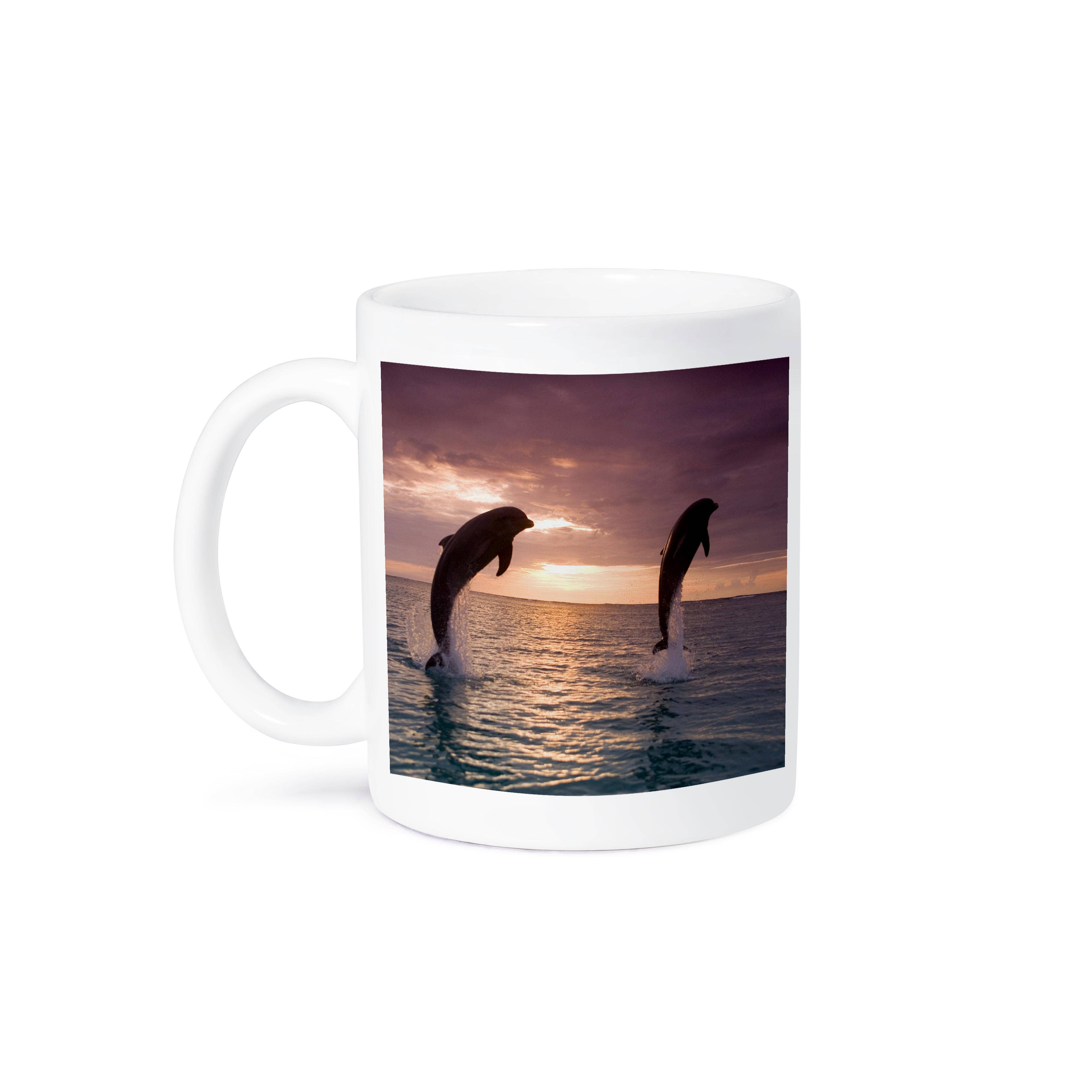 3dRose - Wholesale Coffee Mug - 3dRose, Bottlenose Dolphins, Roatan, Honduras - SA12 SWE0014 - Stuart Westmorland, Mug8