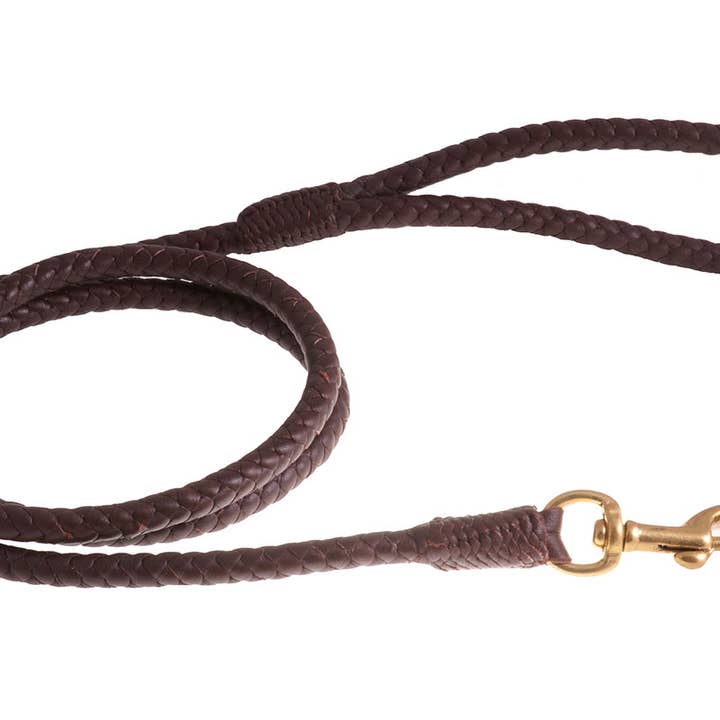 Alvalley - Wholesale Pet Leash - Dog - Braided Leather Snap Leads16