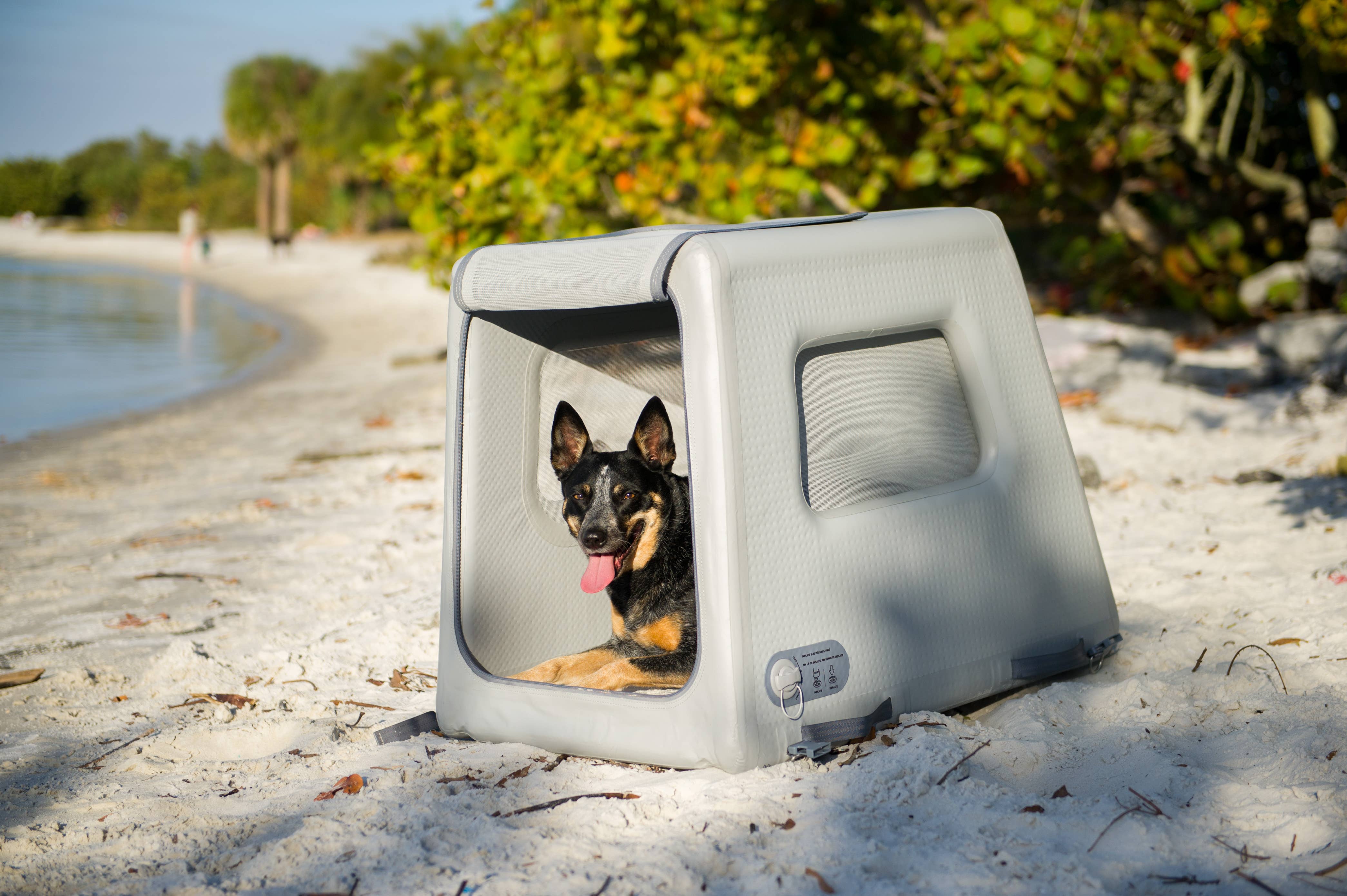 Diggs - Vente Caisse de transport – chien - Kennel de voyage gonflable Enventur9