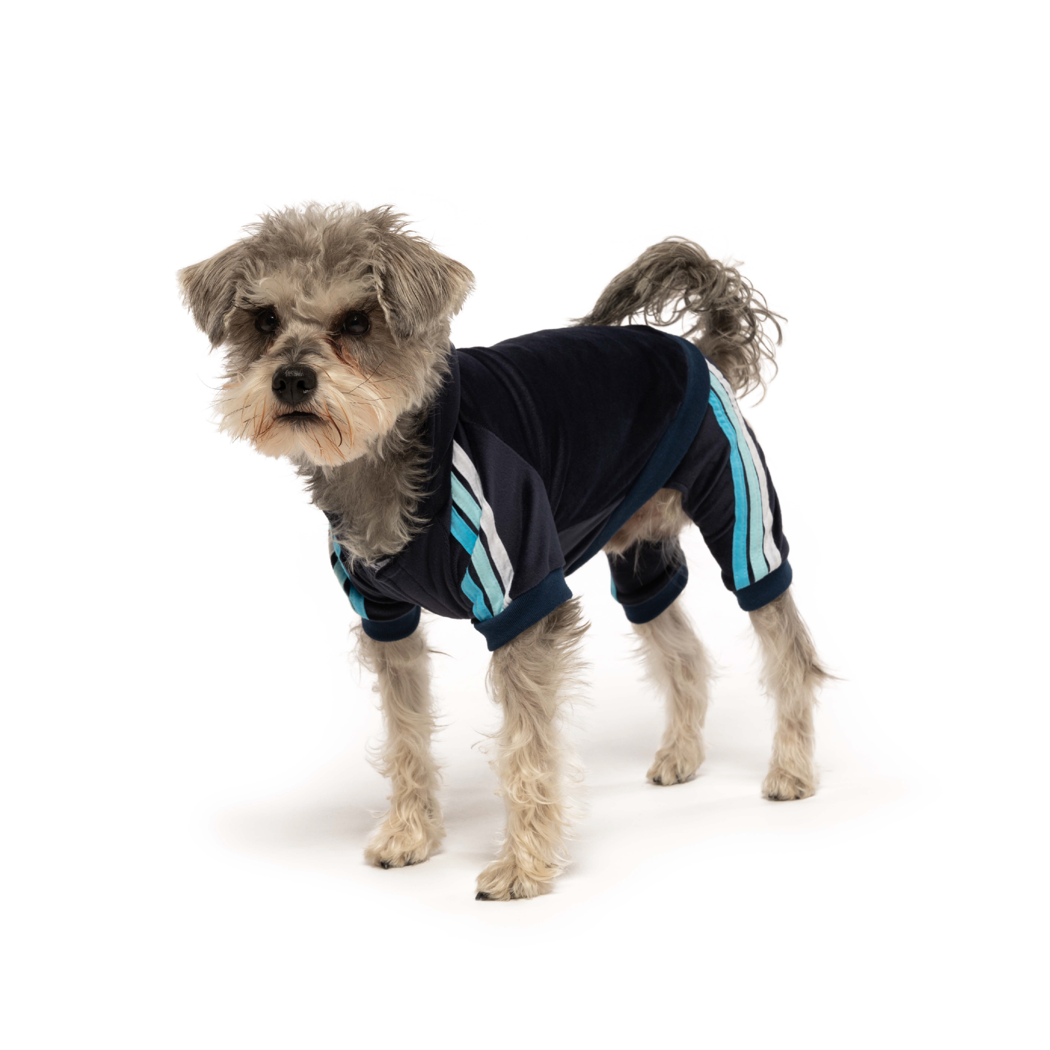fabdog - Wholesale Pet Hoodie - Dog - Navy Velour Jogger1