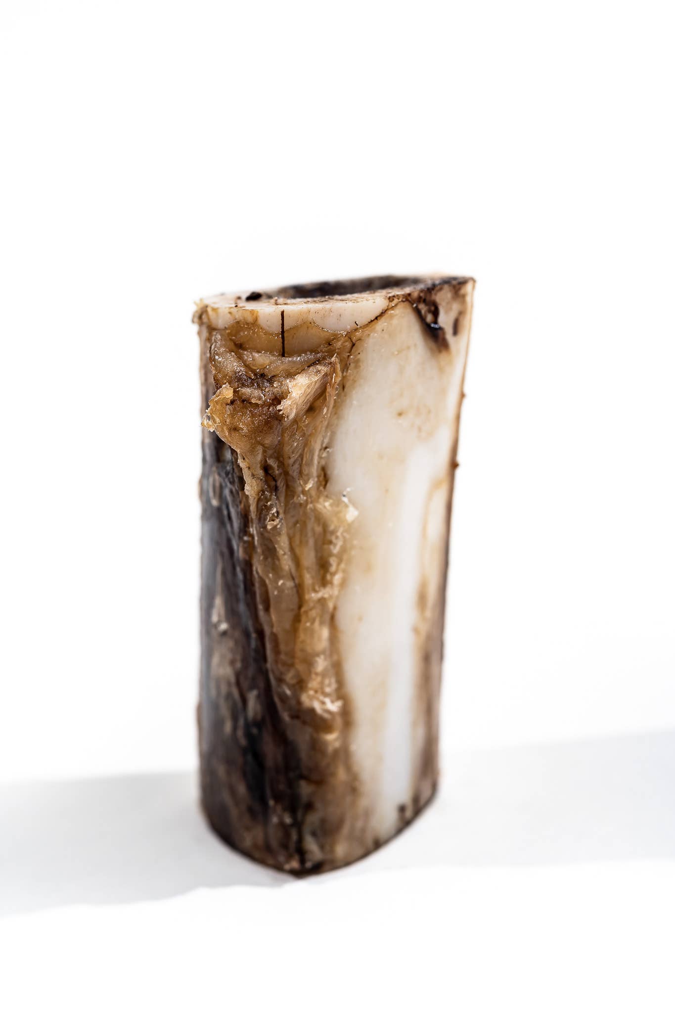 Winnie Lou - Vente Os à mâcher – chien - Os de moelle de bison - 4"7