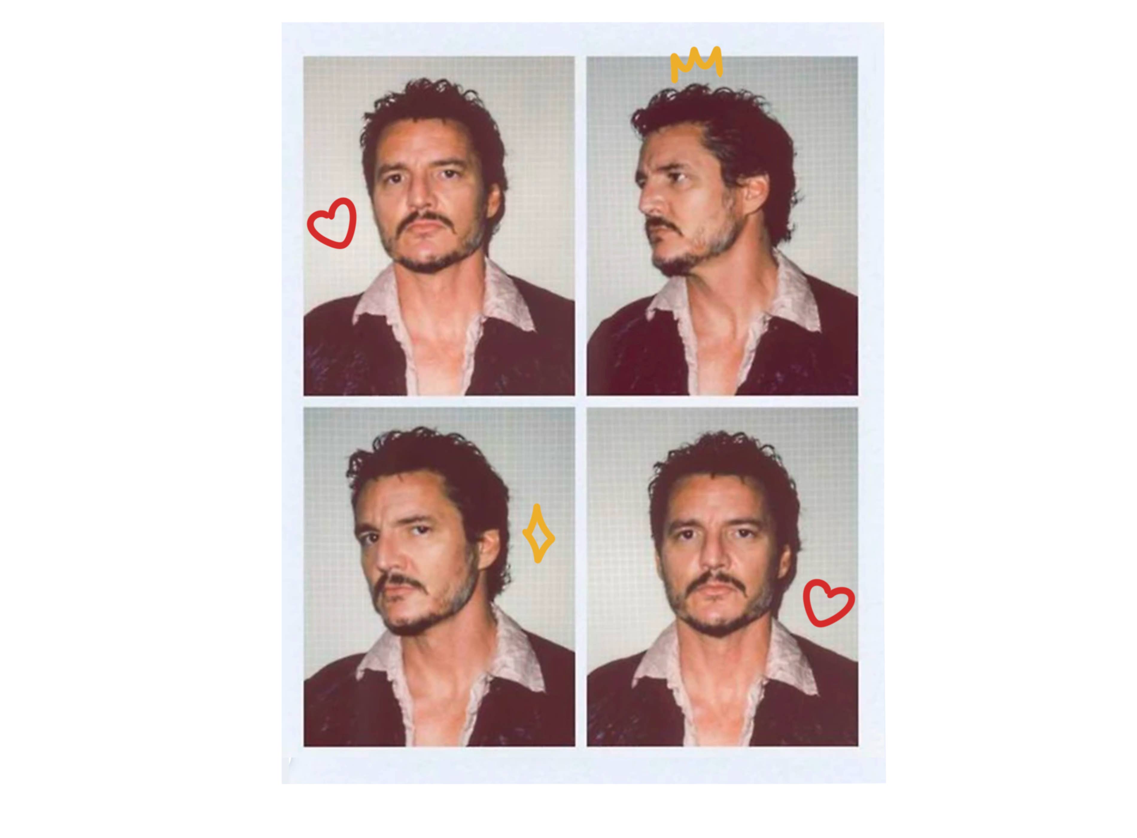 Cocollama Design - Wholesale Sticker - Pedro Pascal Sticker - Aesthetic Vinyl Decal for Laptop