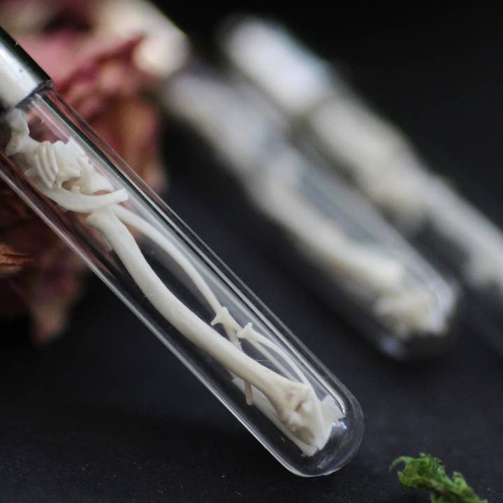 Kitty Bomb Curios - Wholesale Pendant/Charm Necklace - Bone Vial Necklaces | Oddities jewelry mini glass jar teeth2