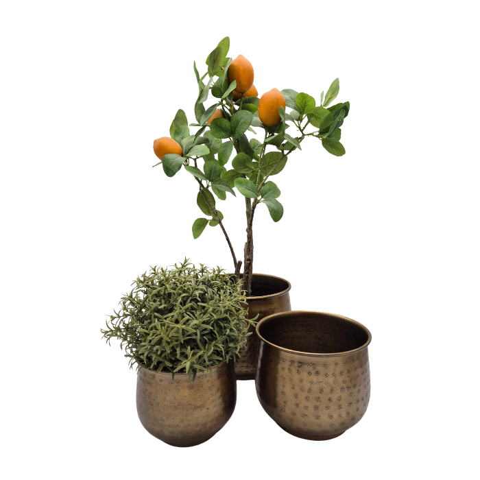 ADC Eindhoven - Wholesale Plant Pot - Planter - Set of 3 - Antique Brass Shiny1
