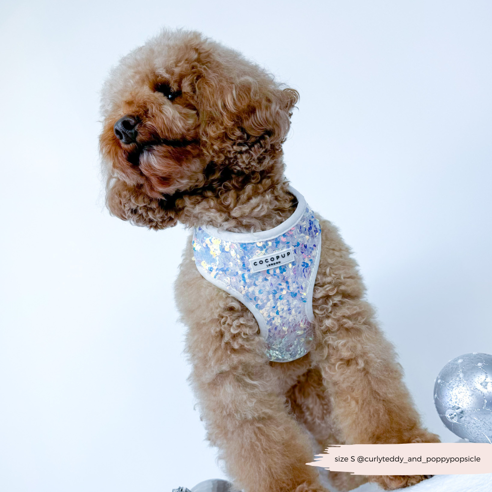 Cocopup London - Vendita all'ingrosso Pettorina - Cani - Imbracatura LUXE Party con Paillettes Olografiche9