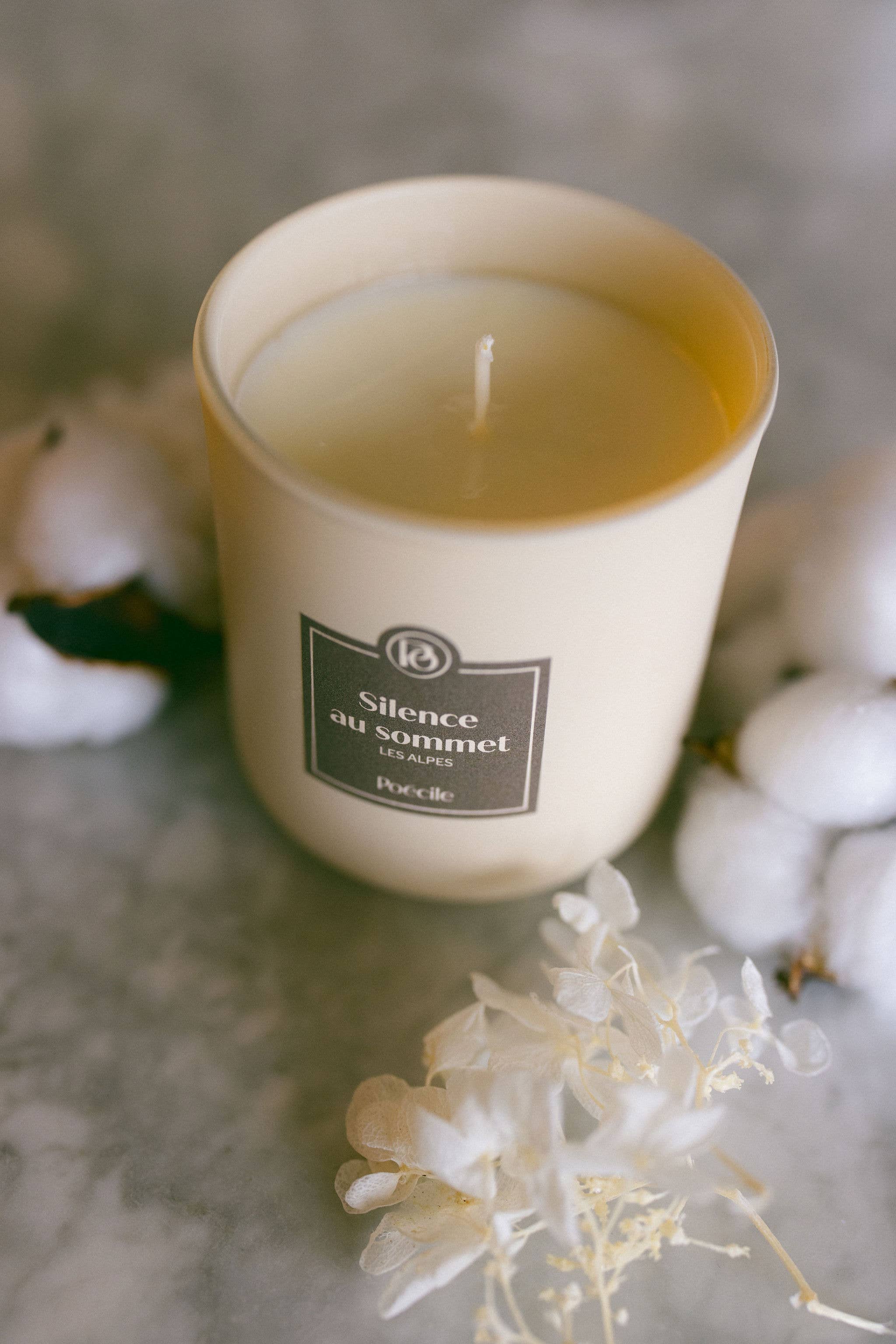 Poécile - Vendita all'ingrosso Candela in vasetto - Candela - Silenzio in vetta - Le Alpi2