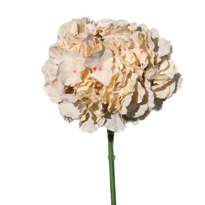 Mezu Silk Flowers - Wholesale Artificial Flowers - Artificial Hydrangea Extra large Head Pale Coffee 1