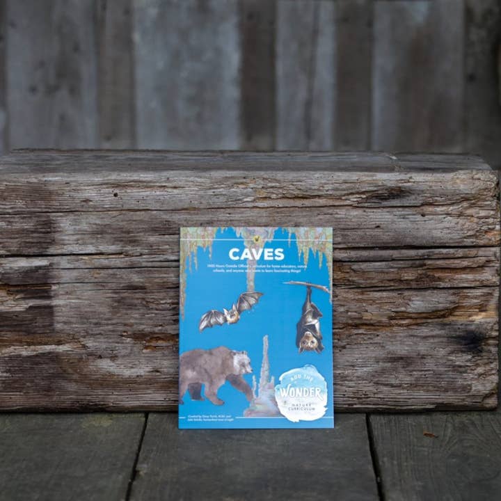 Add The Wonder Nature Curriculum - Caves - Single for wholesale by 1000 Hours Outside