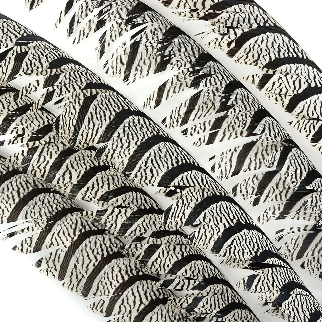 Zucker Feather Products – wholesale Feathers – Lady Amherst Pheasant Tail Natural3