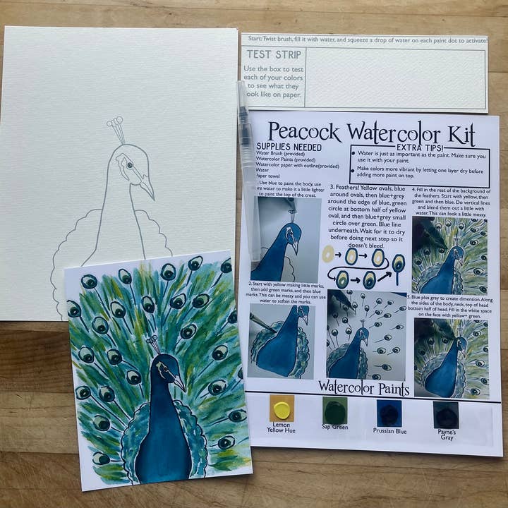 Kit di Pittura ad Acquerello Pavone per la vendita all'ingrosso da parte di Alexandra N Designs
