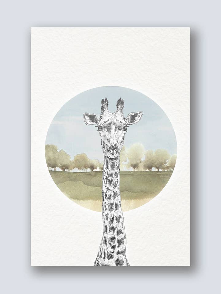 Coffret Wildcard - Afrique du Sud pour la vente par Benji's of Brooklyn