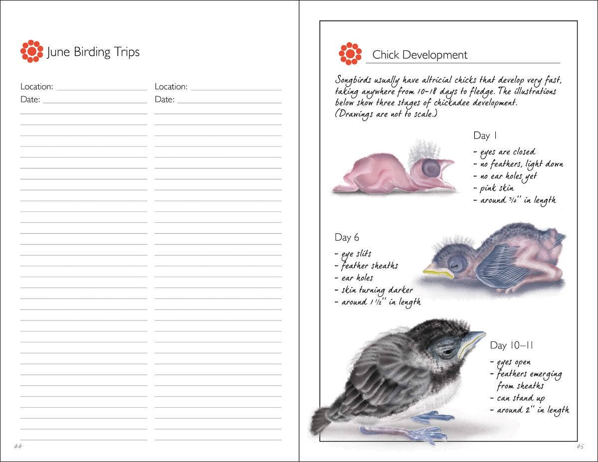 AdventureKEEN - Wholesale Journal/Diary - Birding Journal4