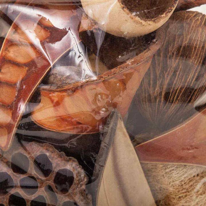 Creaciones Meng - Wholesale Dried/Pressed Flowers - DECORATIVE DRIED FLOWERS 28h cm1