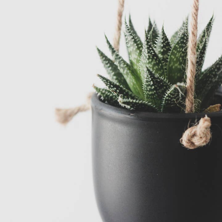 Sprout & About - Wholesale Hanging Planter - Matte Black Hanging Planter Pot