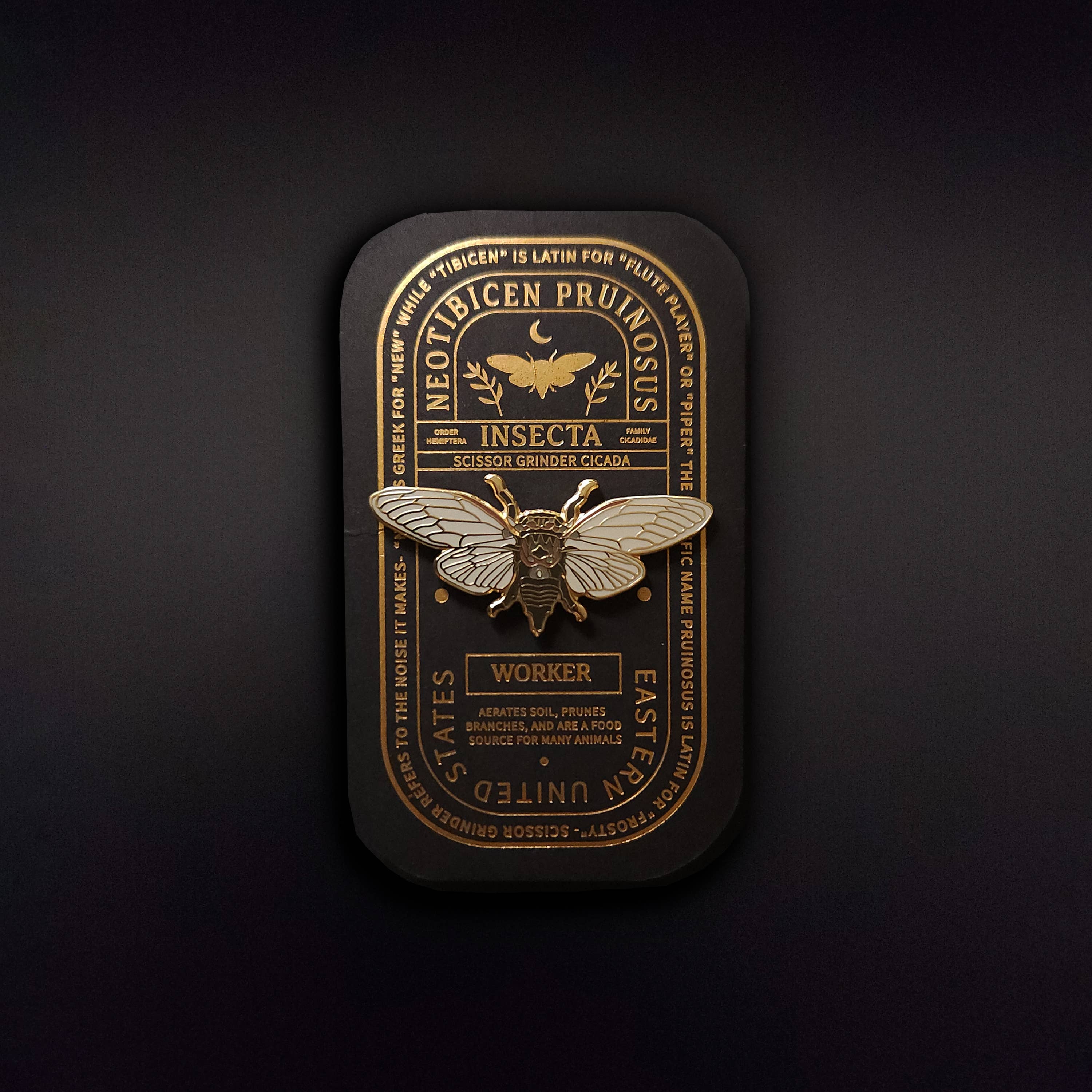 Pinsects - Wholesale Lapel Pin/Button - Scissor Grinder Cicada  Educational Insect Enamel Pin3