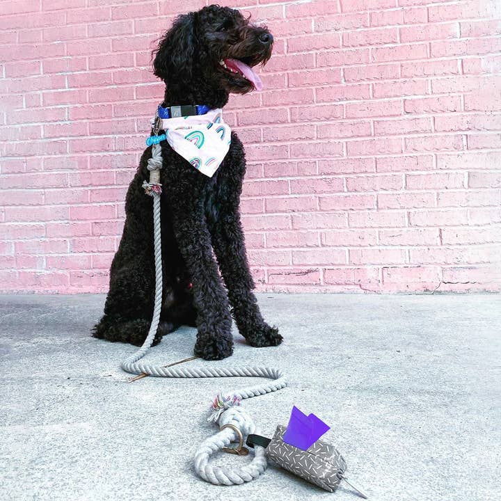 Doggie Walk Bags - Wholesale Pet Poop Bag - 6 Roll Purple Tie Handle Dog Poop Bags, 72 Count