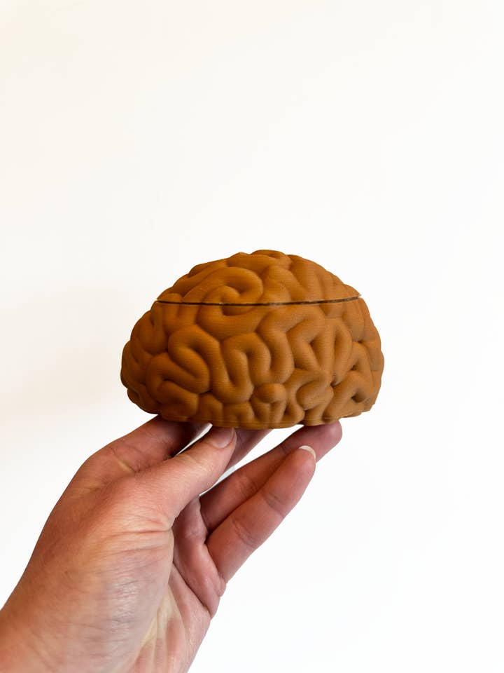 3D Printed Anatomy Brain Trinket Box for wholesale by Faux Theory Design