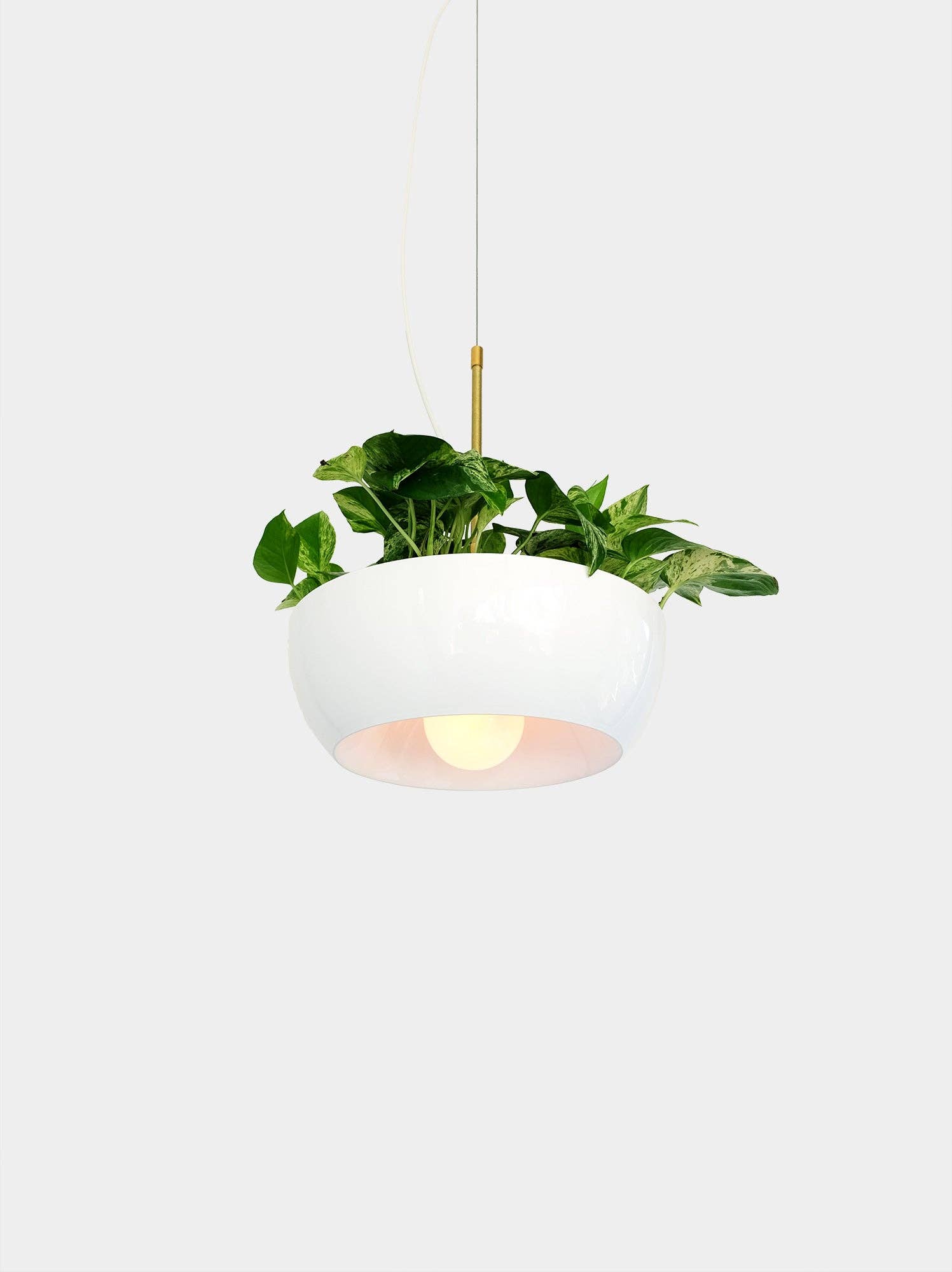 Object/Interface - Wholesale Hanging Planter - Well Planter Light3