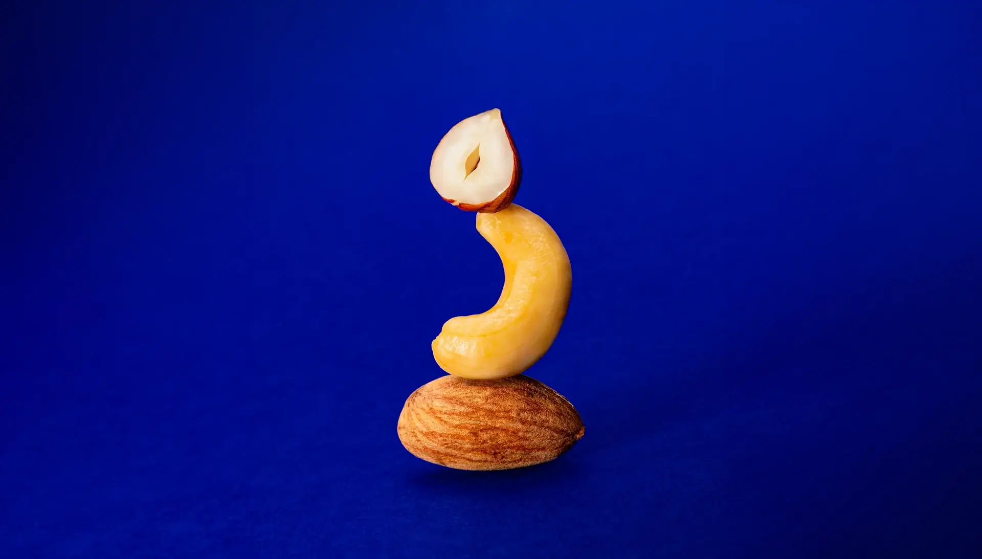 PROPYCA - Wholesale Nuts - Unsalted Roasted Hazelnuts 50g2