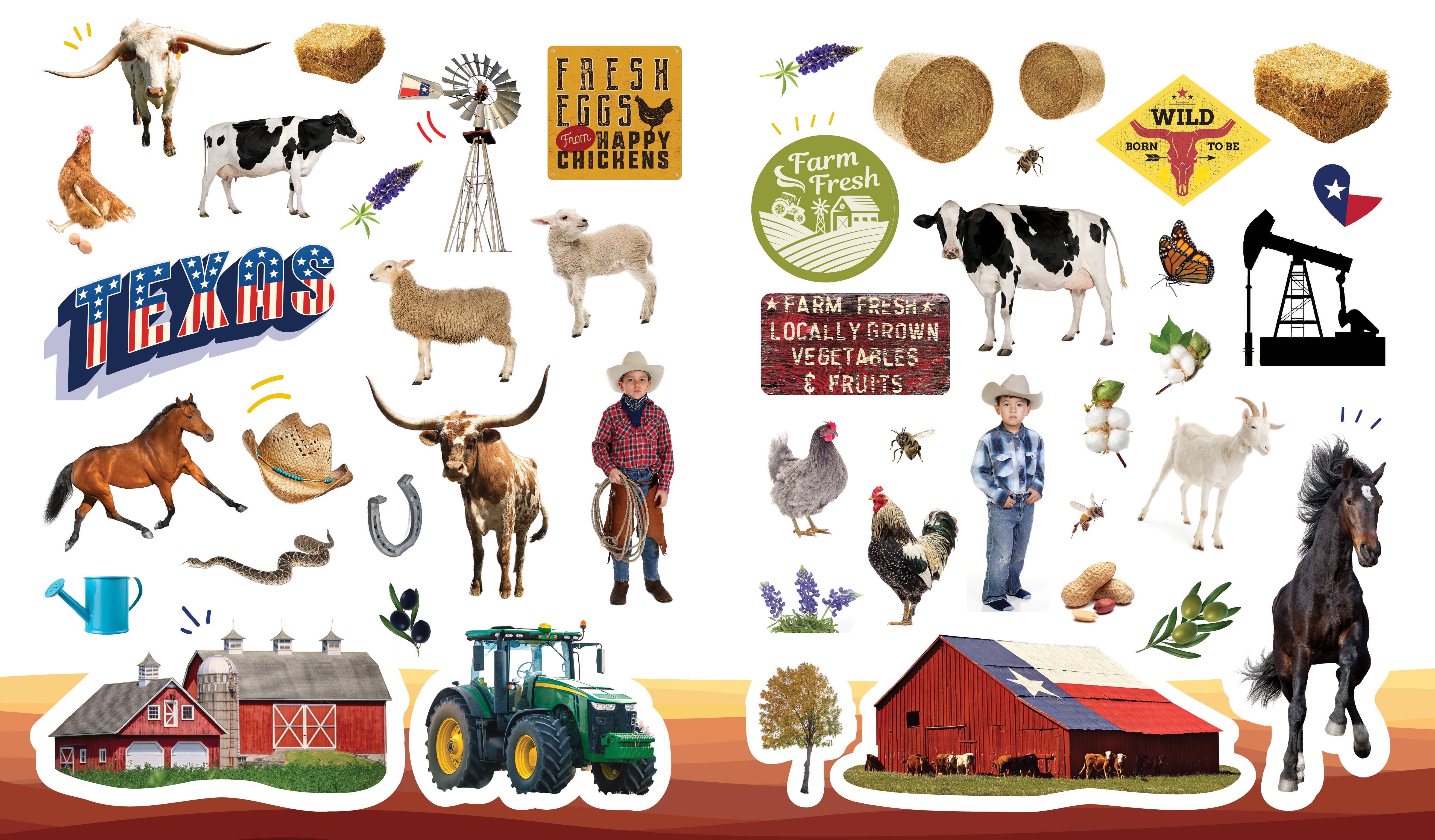 Sourcebooks - Wholesale Sticker - 500 Stickers: Texas4