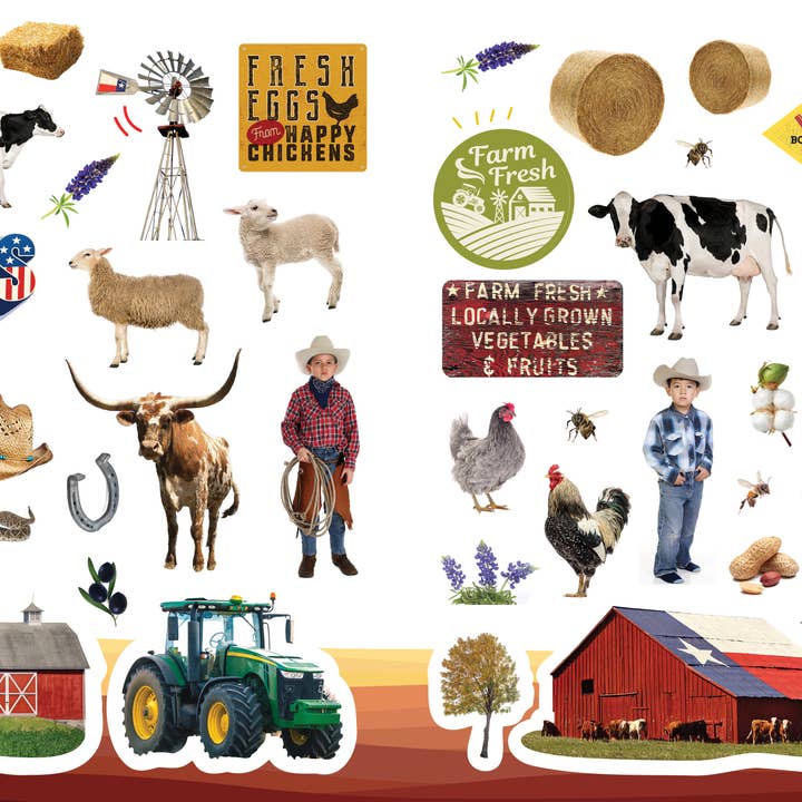 Sourcebooks - Wholesale Sticker - 500 Stickers: Texas4
