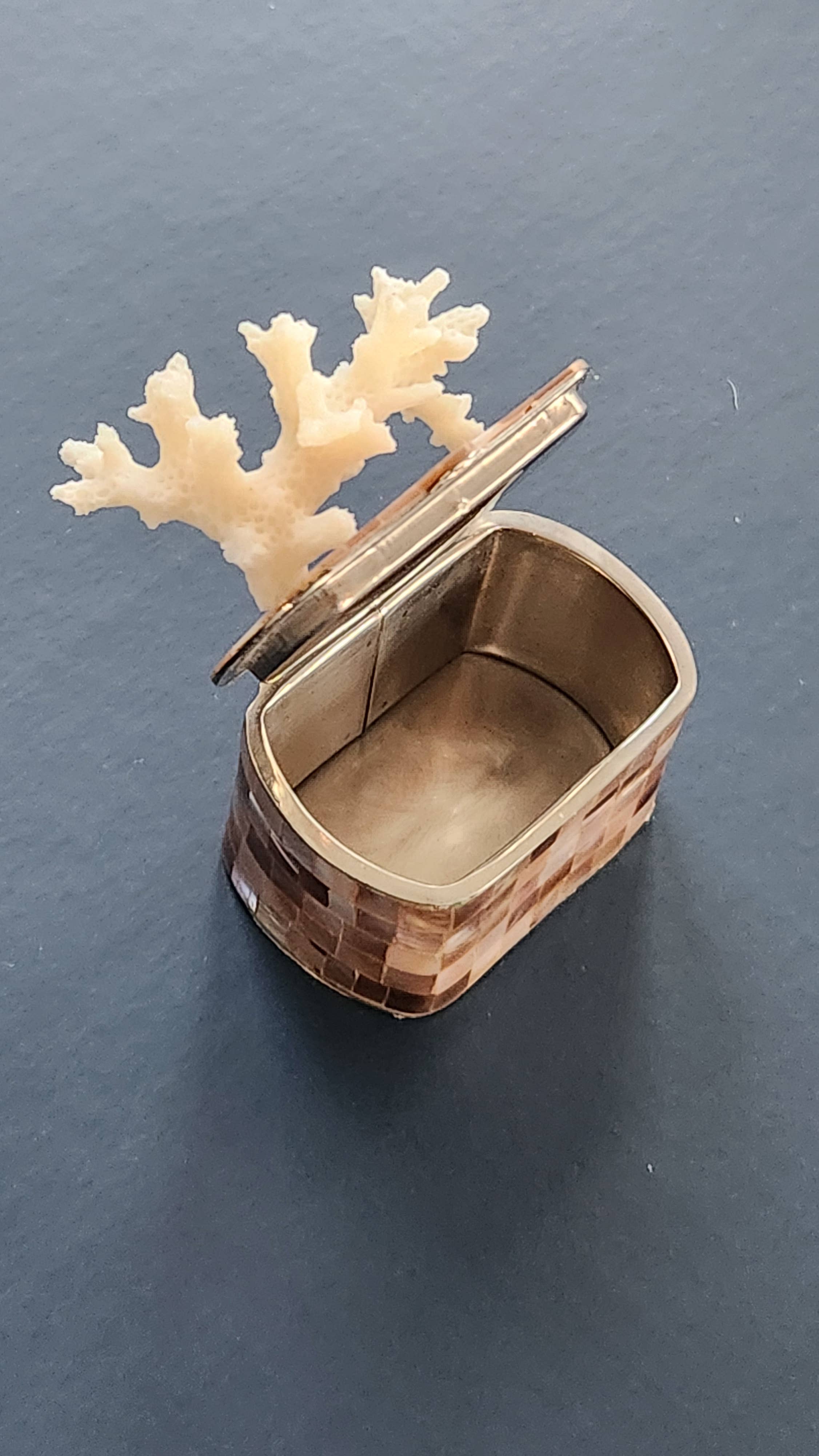 White Tulip Boutique - Wholesale Decorative Box - Mini Tawny Abalone MOP Shell Trinket Pill Box5