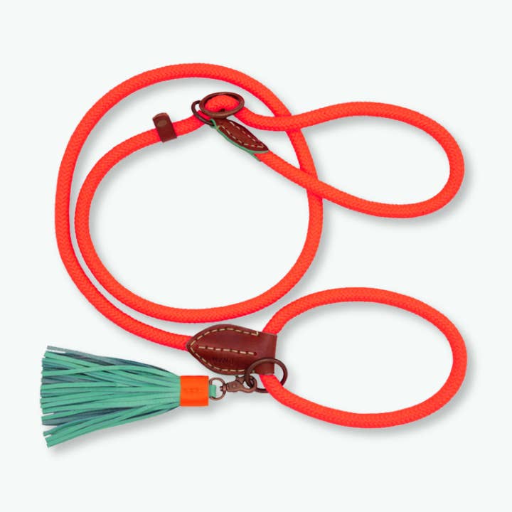 Laisse Avec Collier Intégré Carrot Cake pour la vente par Dog with a Mission